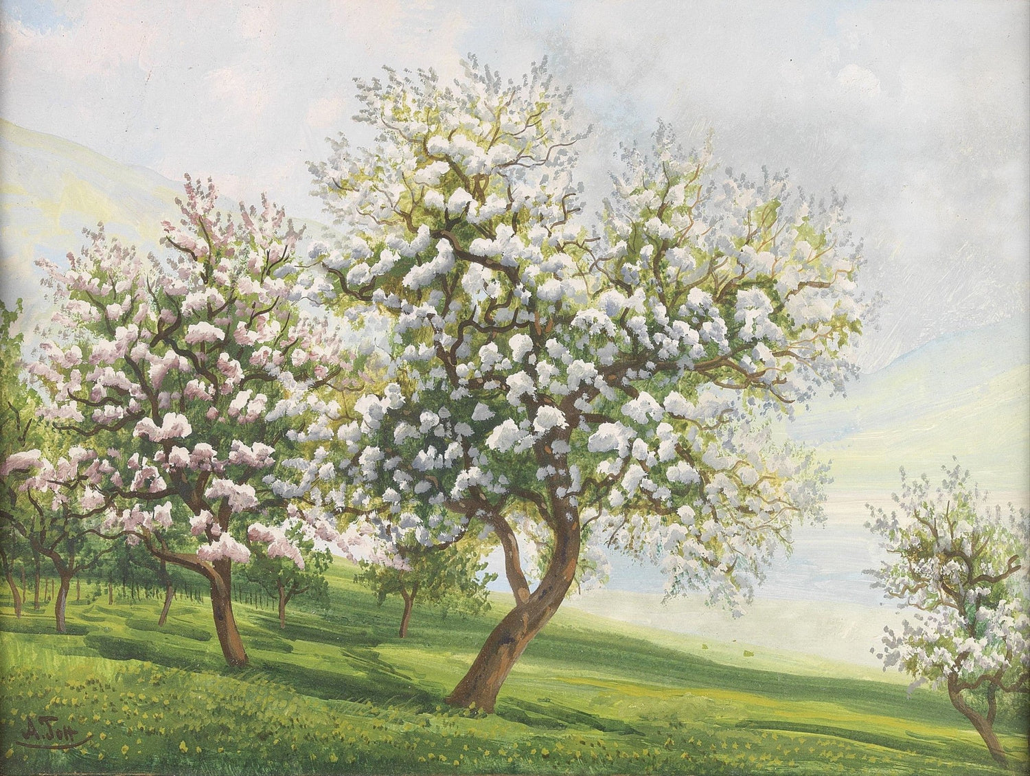 Landscape Oil Painting - Spring Blossom Orchard,Flowering Trees - Oil Painting Haven