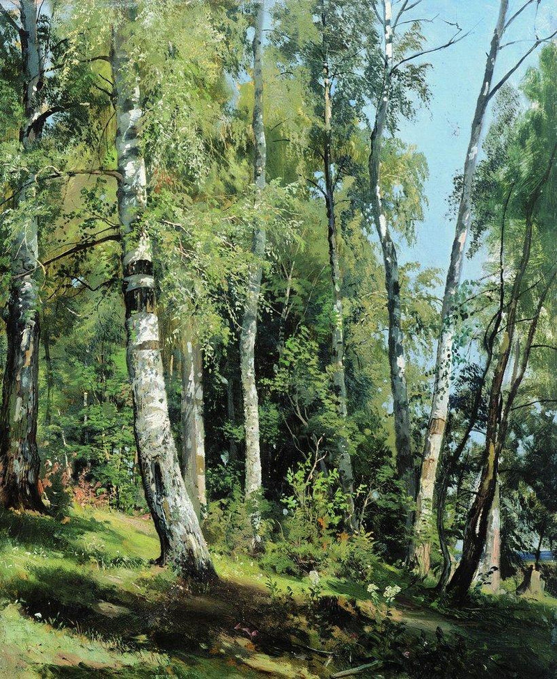 Hand-painted sunlit birch forest woodland scene landscape oil painting on canvas