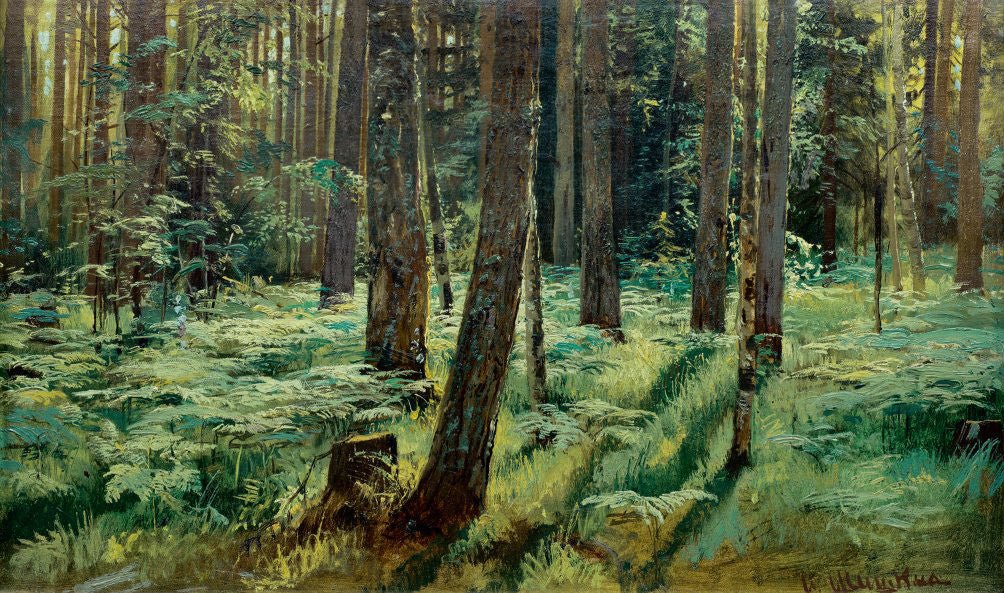 Landscape Oil Painting - Sunlit Forest Interior Art for Modern Walls - Oil Painting Haven