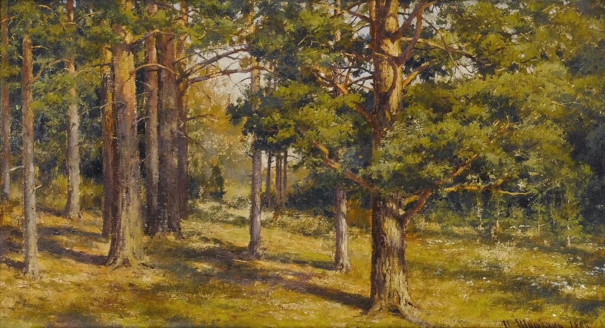 Landscape Oil Painting - Sunlit Forest Interior for Wall Decor - Oil Painting Haven
