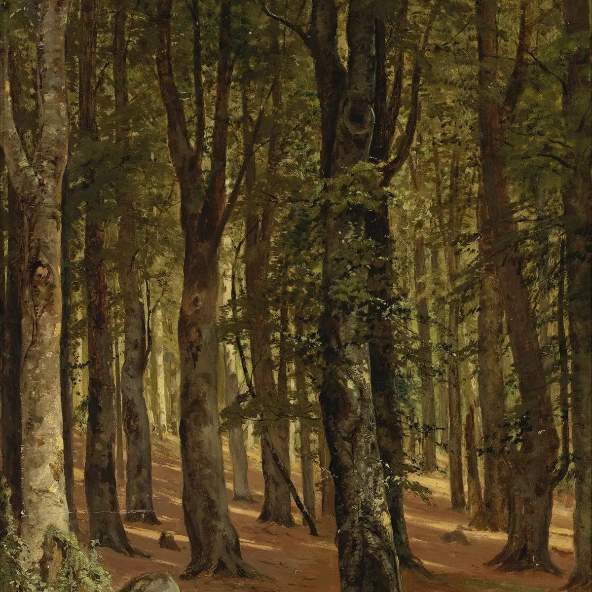 Landscape Oil Painting - Sunlit Forest Interior Wall Art - Oil Painting Haven