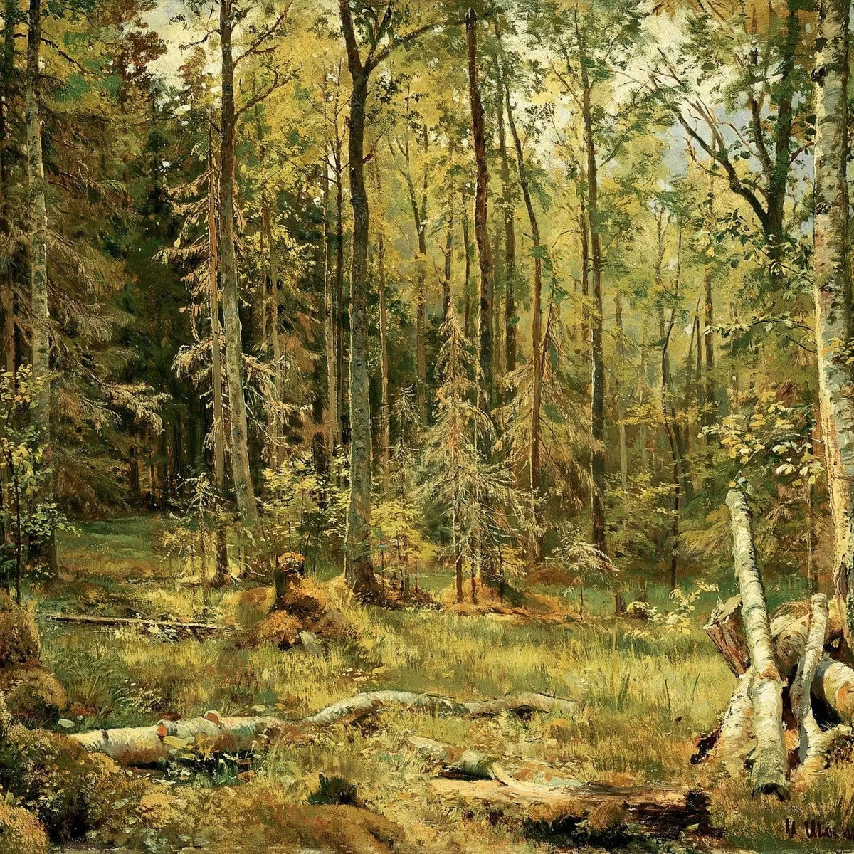 Landscape Oil Painting - Sunlit Forest Interior with Fallen Trees Wall Art - Oil Painting Haven