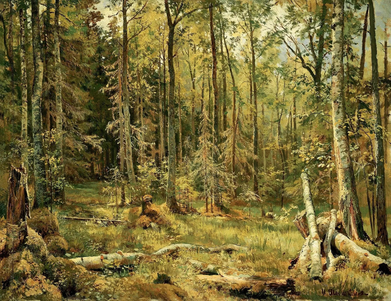 Landscape Oil Painting - Sunlit Forest Interior with Fallen Trees Wall Art - Oil Painting Haven