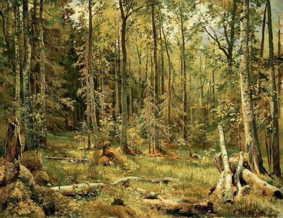 Landscape Oil Painting - Sunlit Forest Interior with Fallen Trees Wall Art - Oil Painting Haven