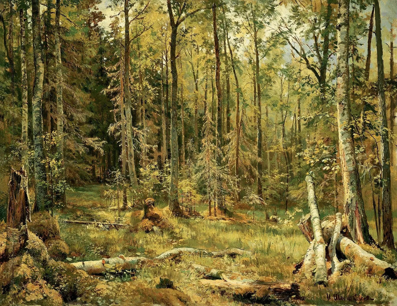 Landscape Oil Painting - Sunlit Forest Interior with Fallen Trees Wall Art - Oil Painting Haven