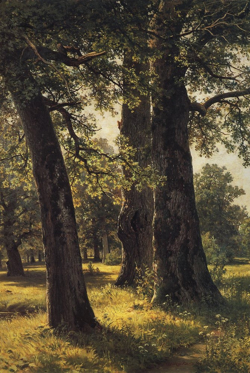 Landscape Oil Painting - Sunlit Forest with Ancient Trees - Oil Painting Haven