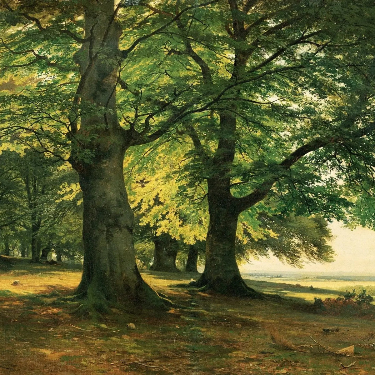 Landscape Oil Painting - Sunlit Forest with Large Trees Wall Art - Oil Painting Haven