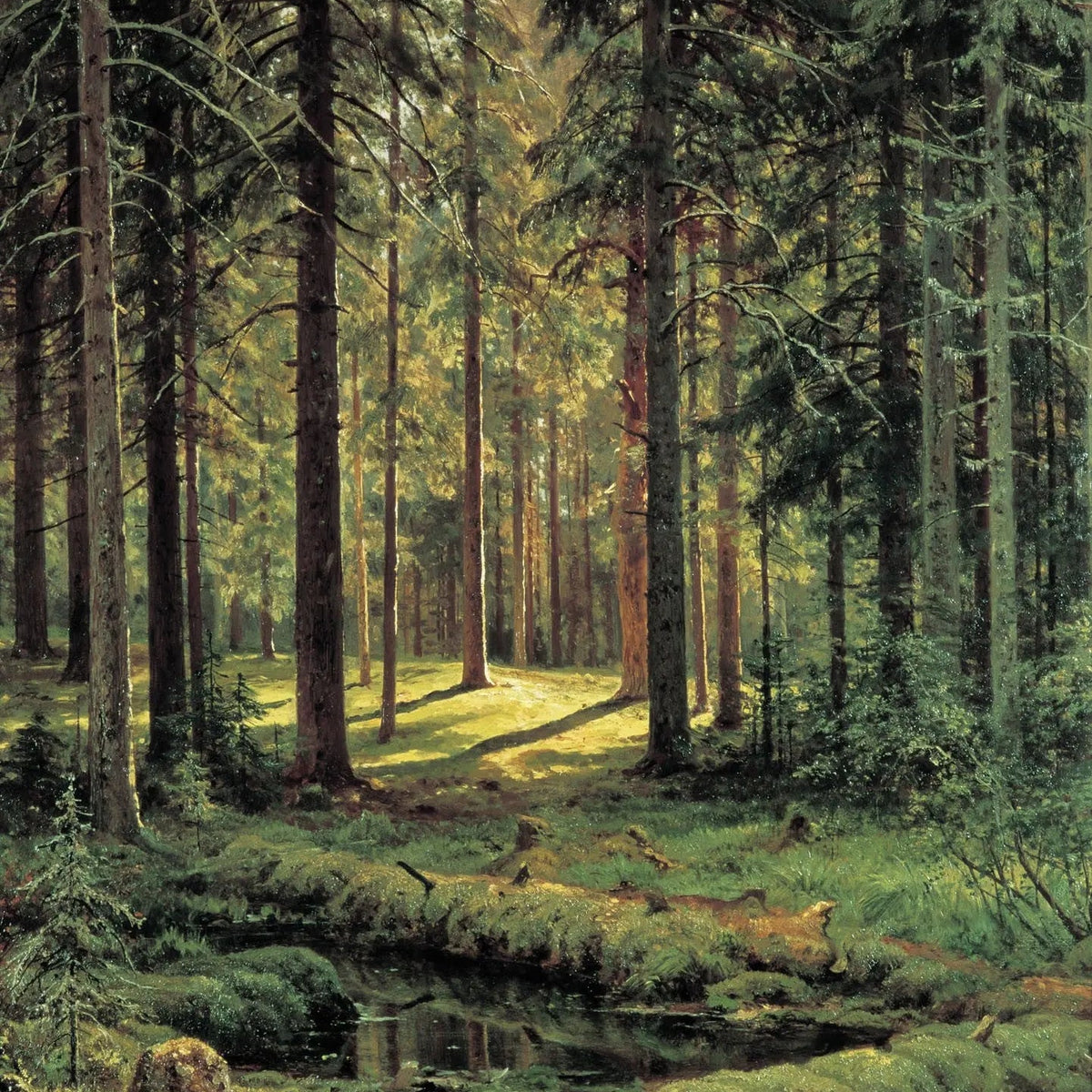 Landscape Oil Painting - Sunlit Forest with Stream Wall Art - Oil Painting Haven