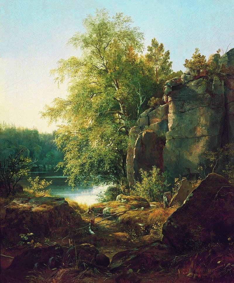 Landscape Oil Painting - Sunlit Lakeside Rocks and Birch Trees - Oil Painting Haven