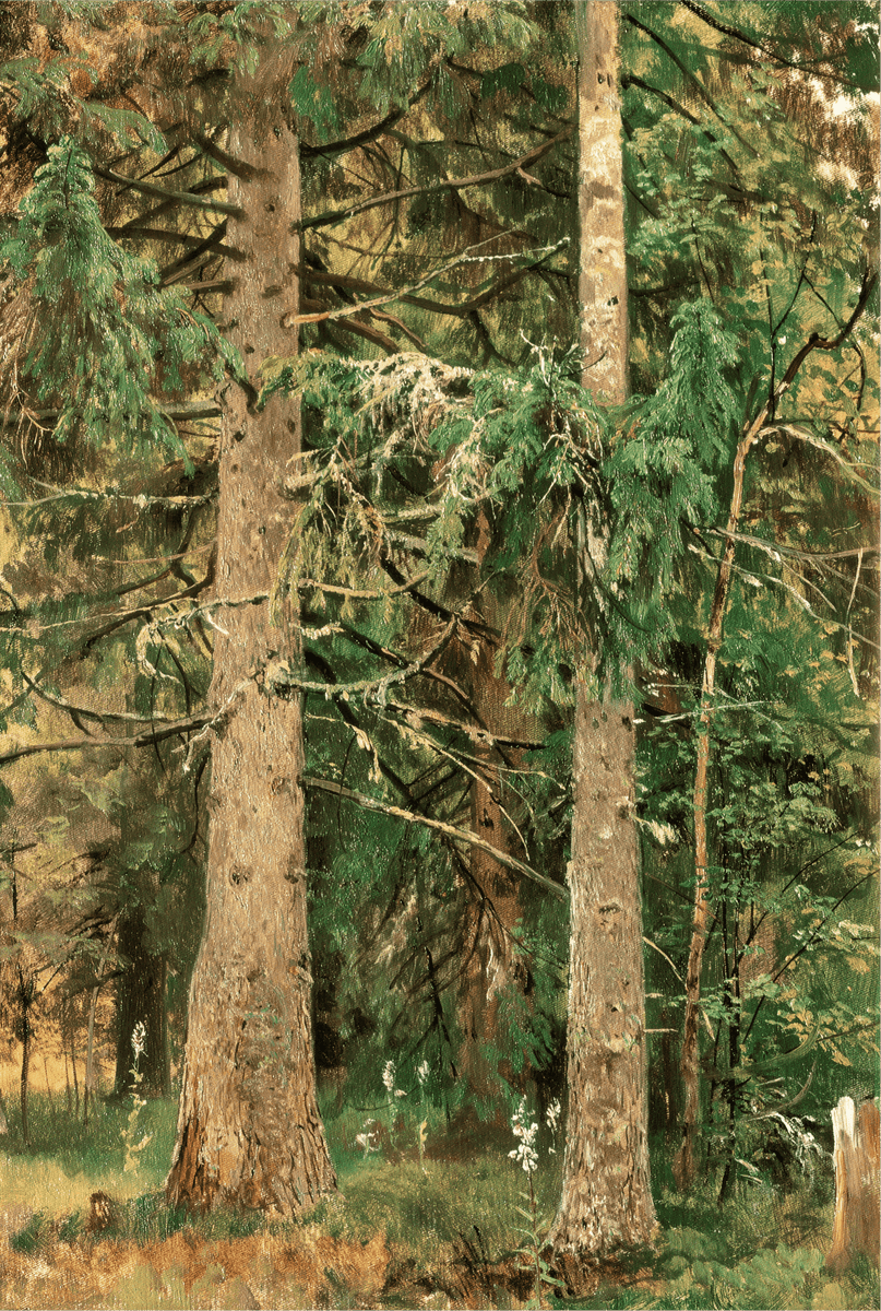 Tableau à l'huile d'une forêt de grands pins – Art luxuriant pour la décoration intérieure