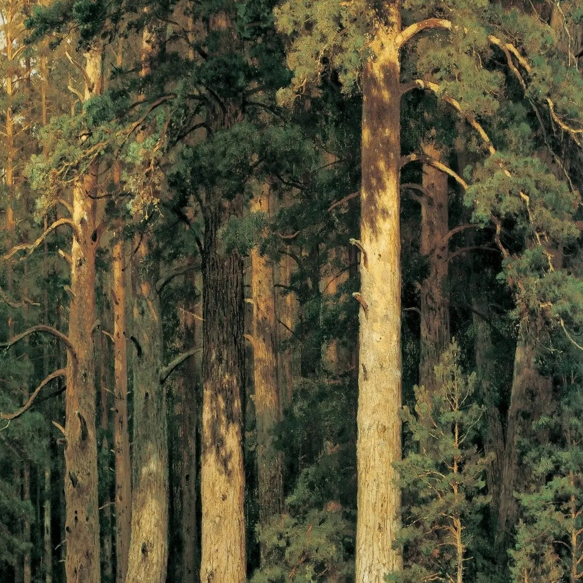 Landscape Oil Painting - Tall Pine Forest Wall Art - Oil Painting Haven