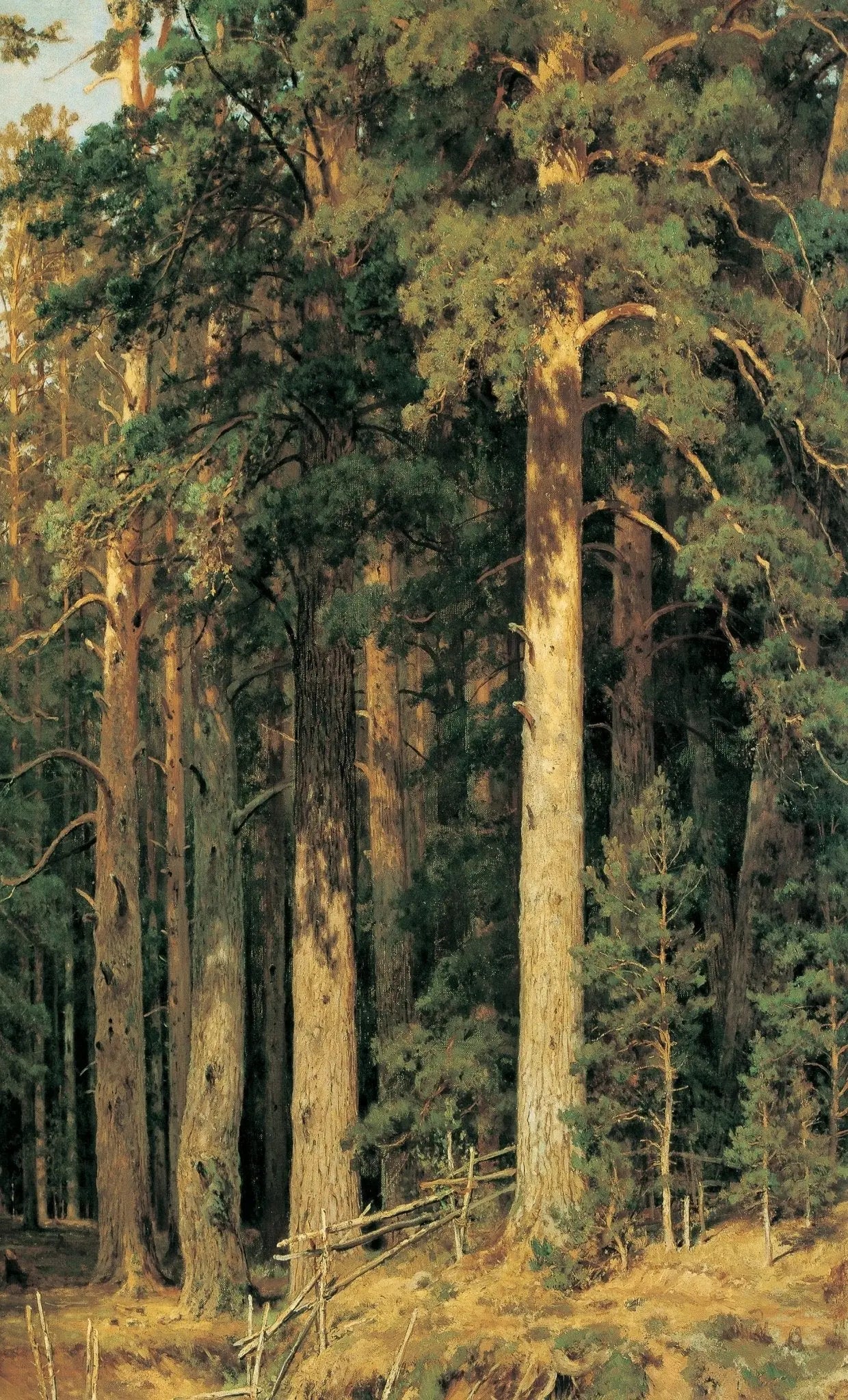 Landscape Oil Painting - Tall Pine Forest Wall Art - Oil Painting Haven