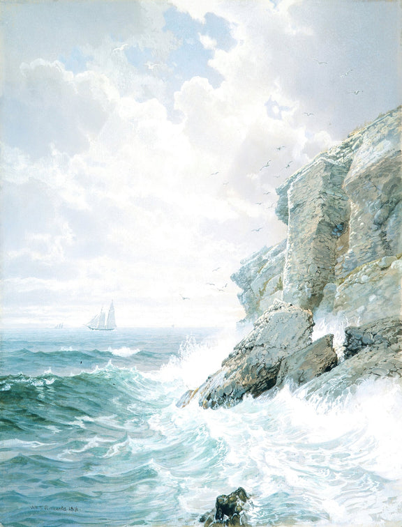 Landscape Oil Painting - White Coastal Cliffs, Crashing Waves & Seabirds - Oil Painting Haven