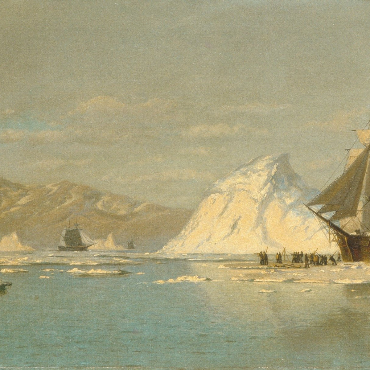 Nautical Oil Paintings - Arctic Whaling Ship off Greenland - Oil Painting Haven