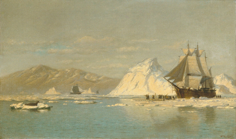 Nautical Oil Paintings - Arctic Whaling Ship off Greenland - Oil Painting Haven