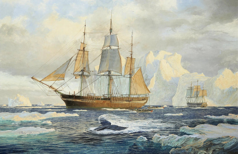 Nautical Oil Paintings - Whaling Ship in Arctic Seas - Oil Painting Haven