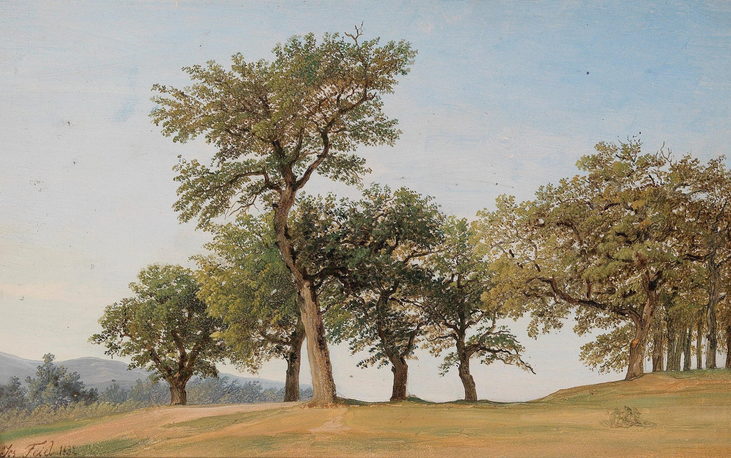 Oak Trees on a Gentle Hillside – Hand - Painted Landscape Oil Painting - Oil Painting Haven