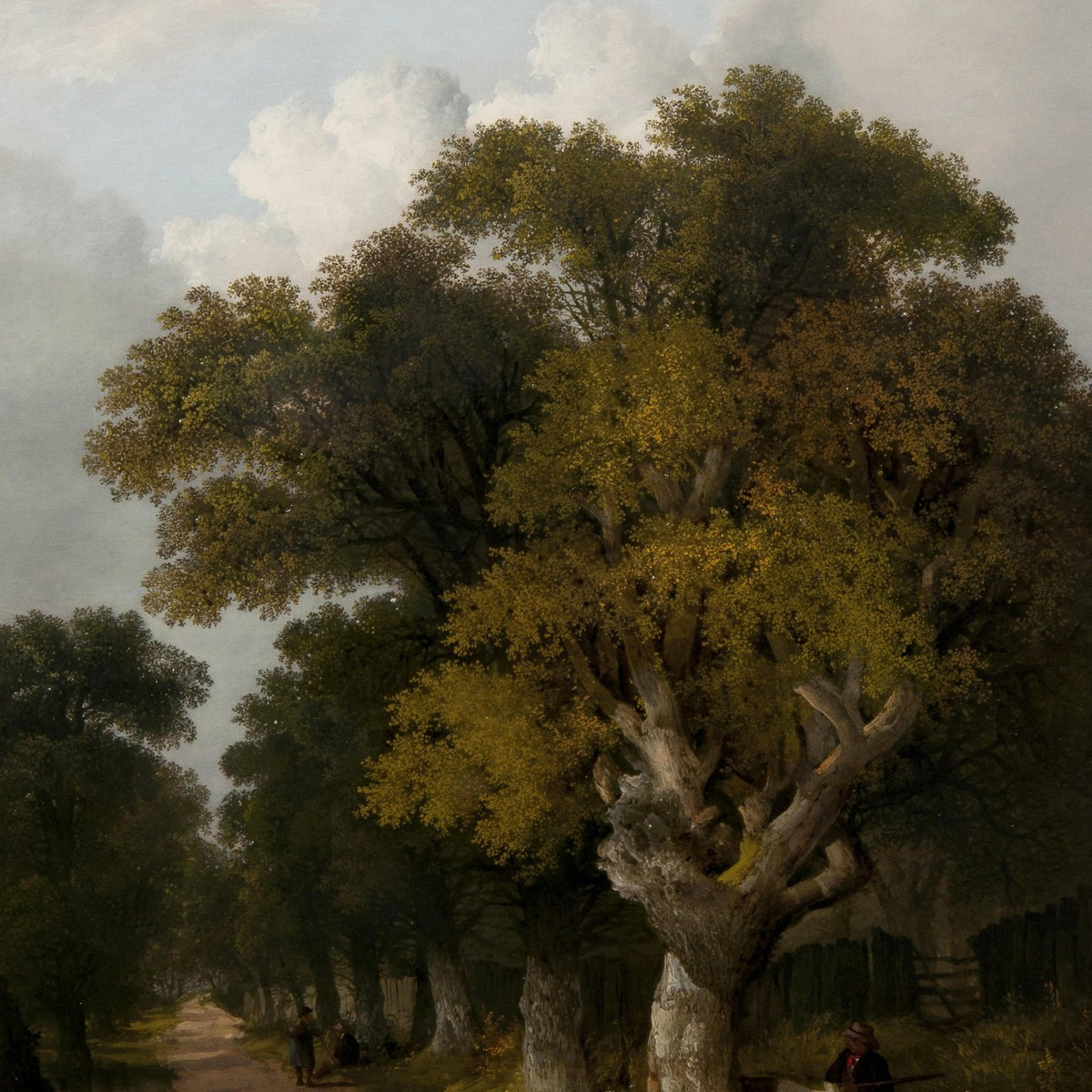 Old Trees Along a Quiet Country Road - Landscape Oil Painting - Oil Painting Haven