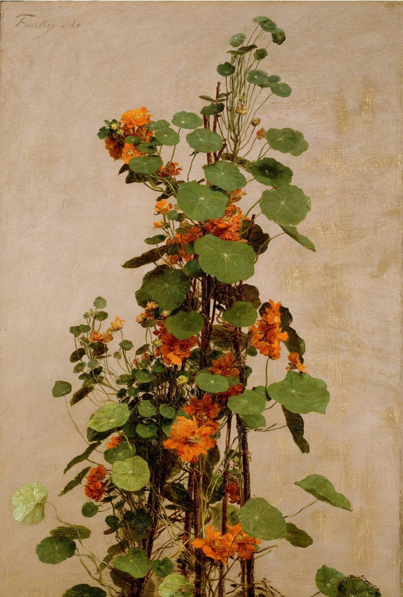 Orange Nasturtium Flowers with Green Leaves - Floral Oil Painting - Oil Painting Haven