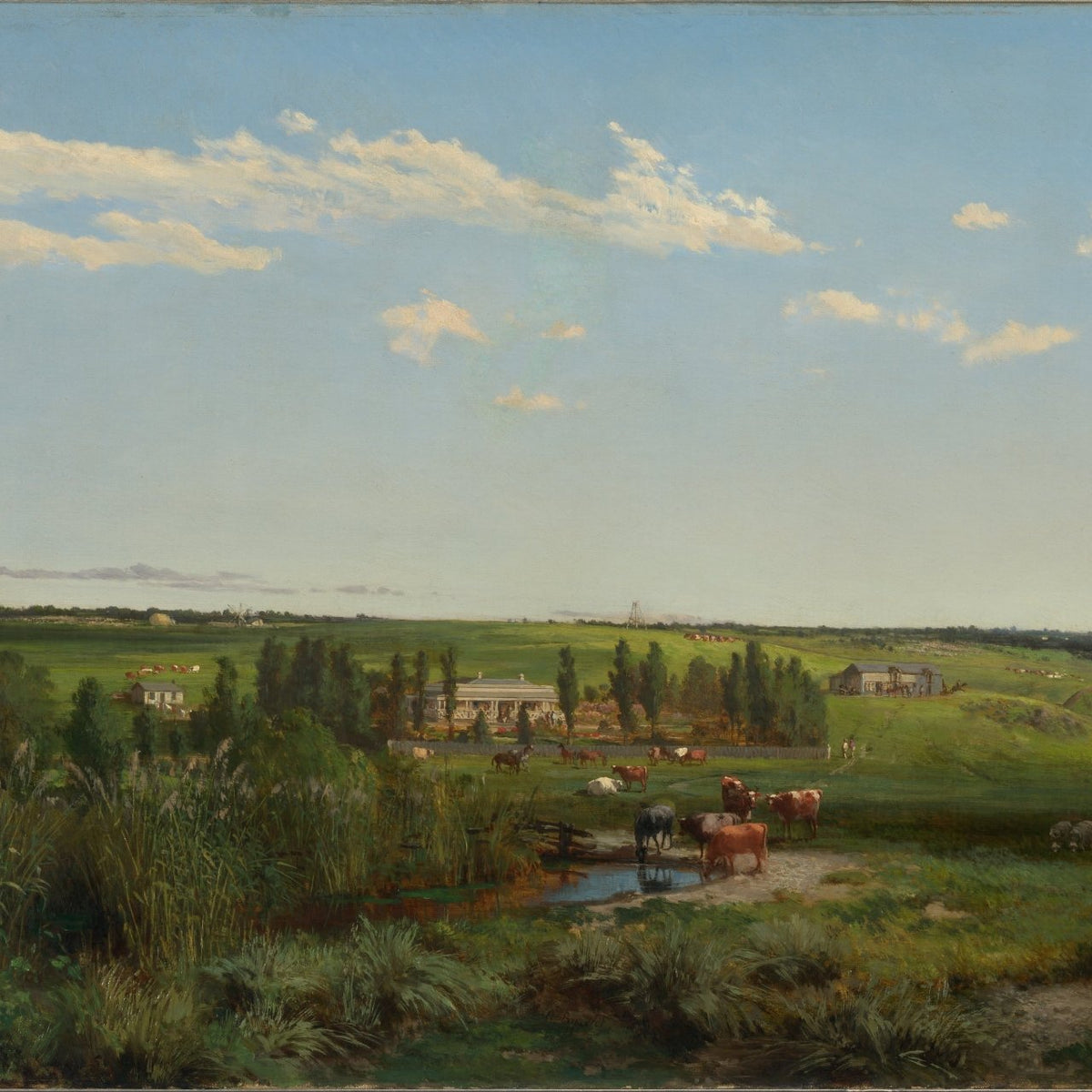 Pastoral Farmland with Cattle and Open Fields – Landscape Oil Painting - Oil Painting Haven