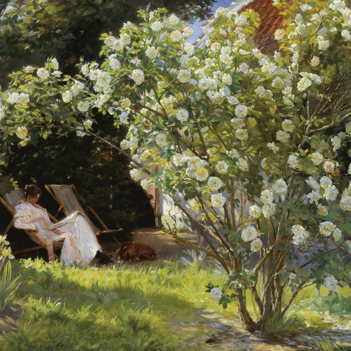 People Oil Painting - Woman Reading in Garden with White Roses - Oil Painting Haven