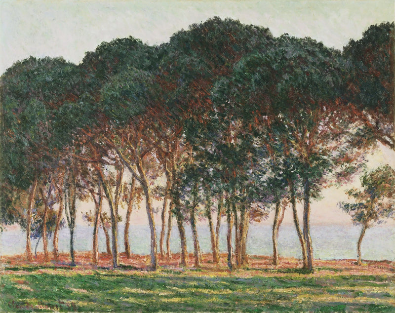 Pine Trees by the Sea at Sunset Light - Landscape Oil Painting - Oil Painting Haven
