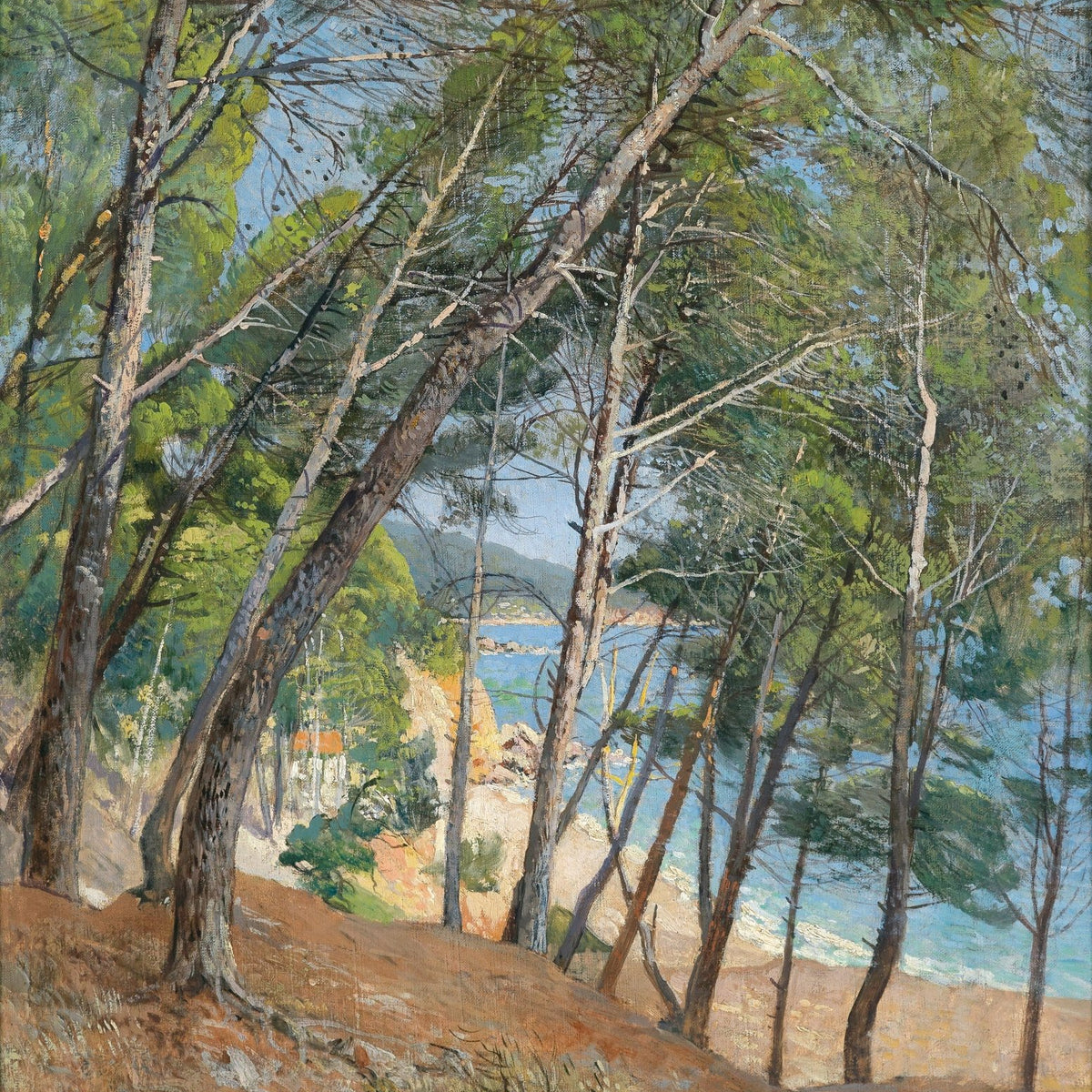 Pine Trees Overlooking a Sunlit Coastal Bay – Landscape Oil Painting - Oil Painting Haven