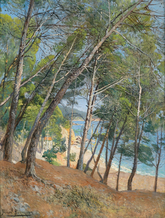 Pine Trees Overlooking a Sunlit Coastal Bay – Landscape Oil Painting - Oil Painting Haven