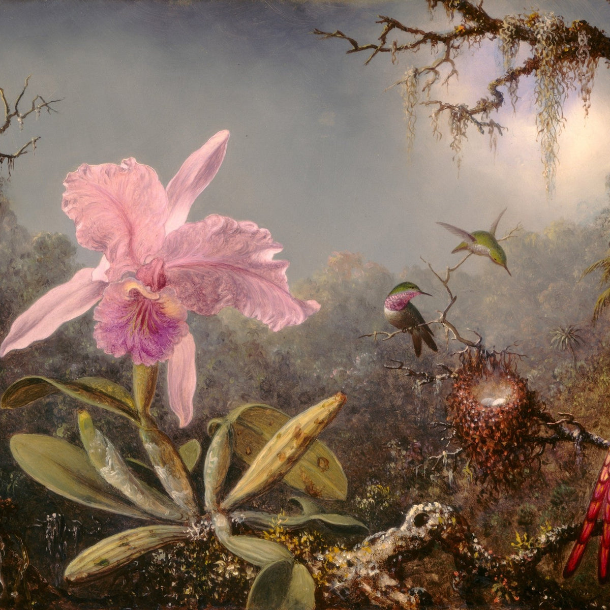 Pink Orchid with Hummingbirds Tropical Still Life - Floral Oil Painting - Oil Painting Haven