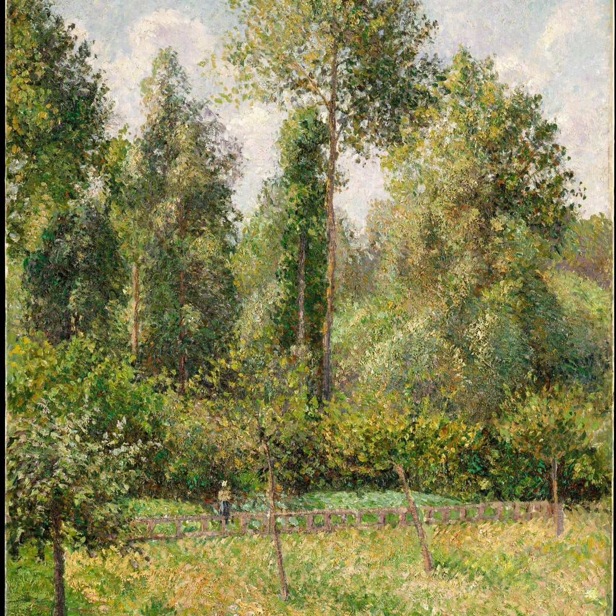 Poplar Trees in a Summer Meadow - Landscape Oil Painting - Oil Painting Haven