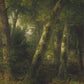 sc001874 - Oil Painting Haven