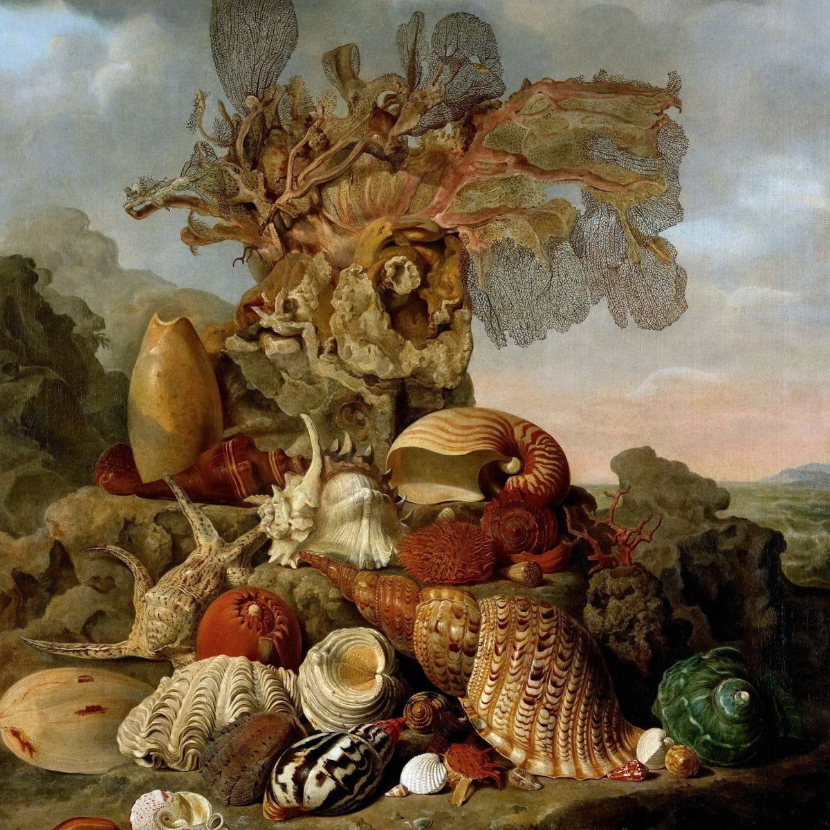 Sea Shells and Coral Arrangement - Still Life Oil Painting - Oil Painting Haven