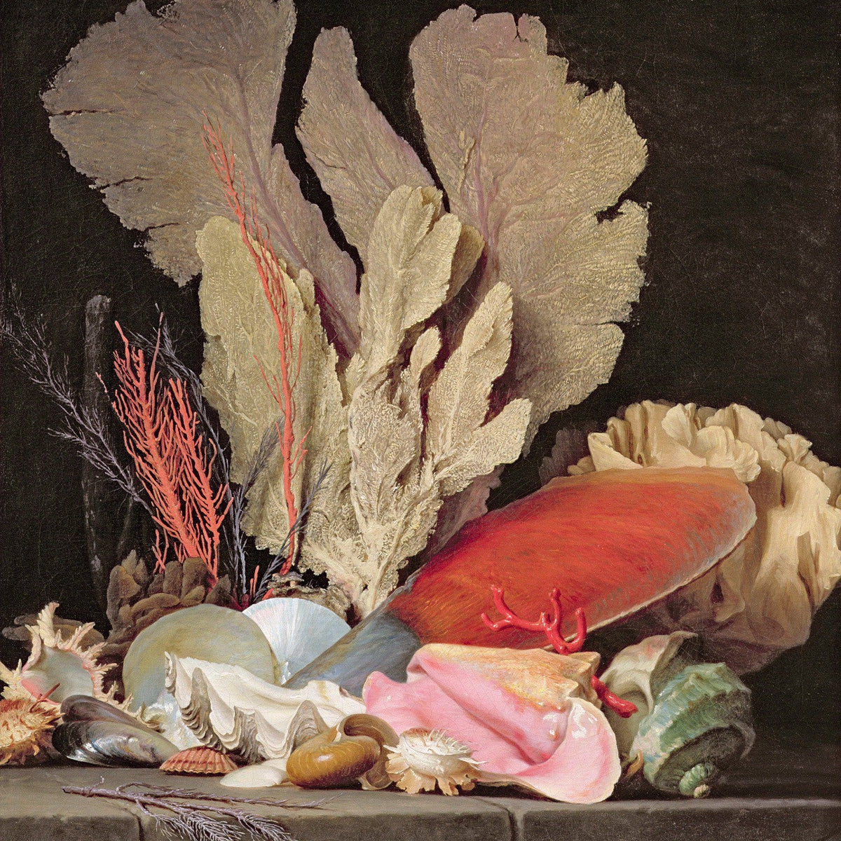 Seashells and Coral on Stone Ledge - Still Life Oil Painting - Oil Painting Haven