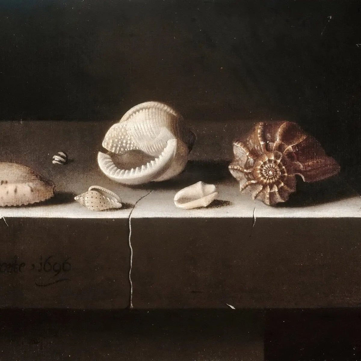 Still Life Oil Painting - Assorted Seashells - Oil Painting Haven