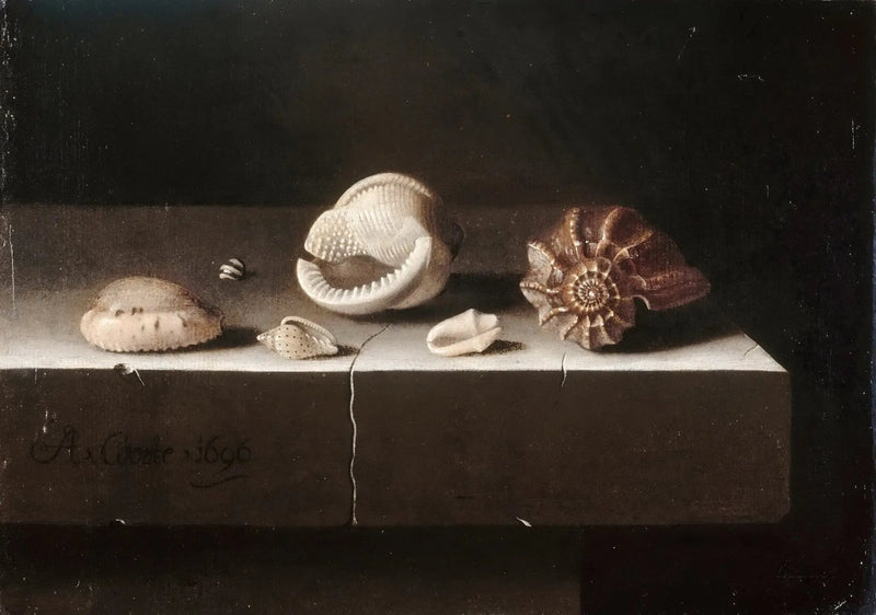 Still Life Oil Painting - Assorted Seashells - Oil Painting Haven