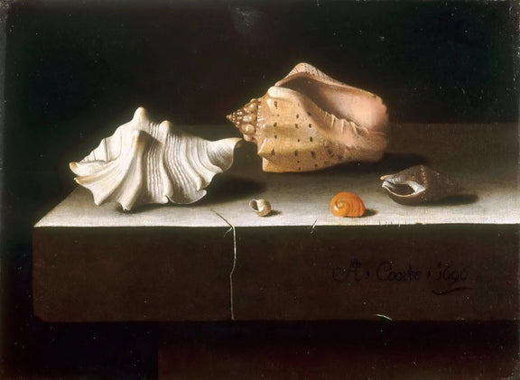 Still Life Oil Painting - Assorted Seashells Wall Art - Oil Painting Haven