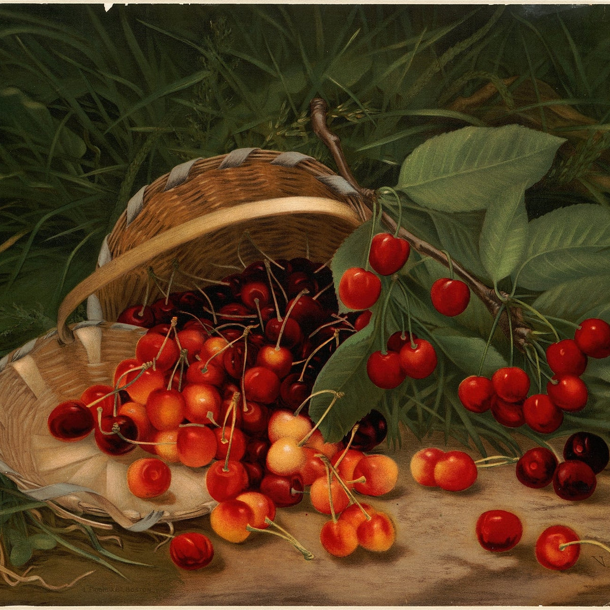 Still Life Oil Painting - Cherries in Woven Basket - Oil Painting Haven