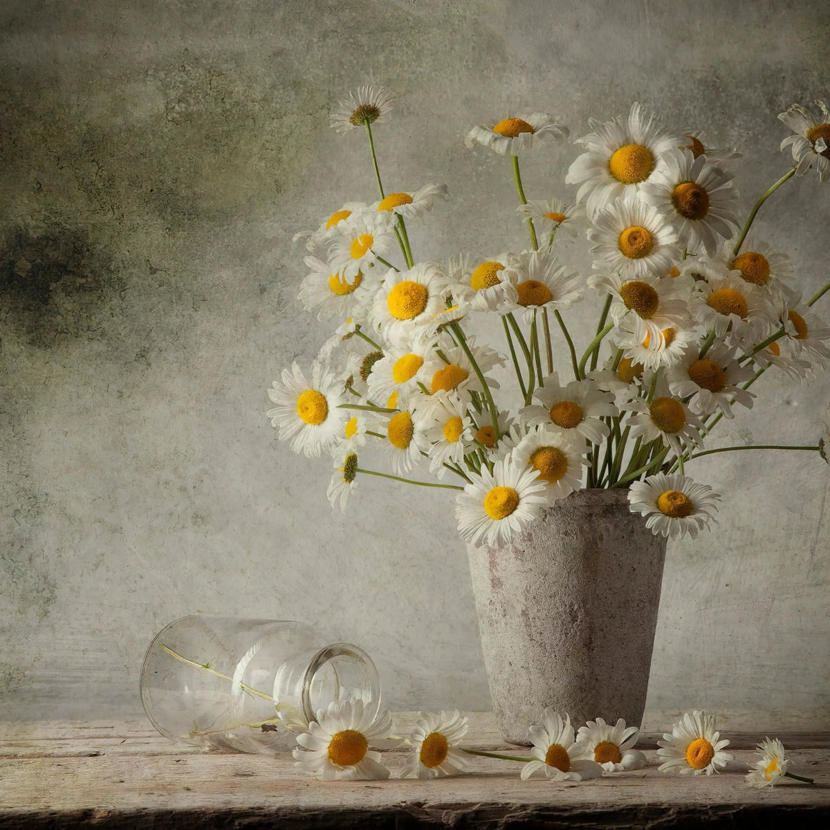 Still Life Oil Painting - Daisies, Vase and Glass Jar - Oil Painting Haven