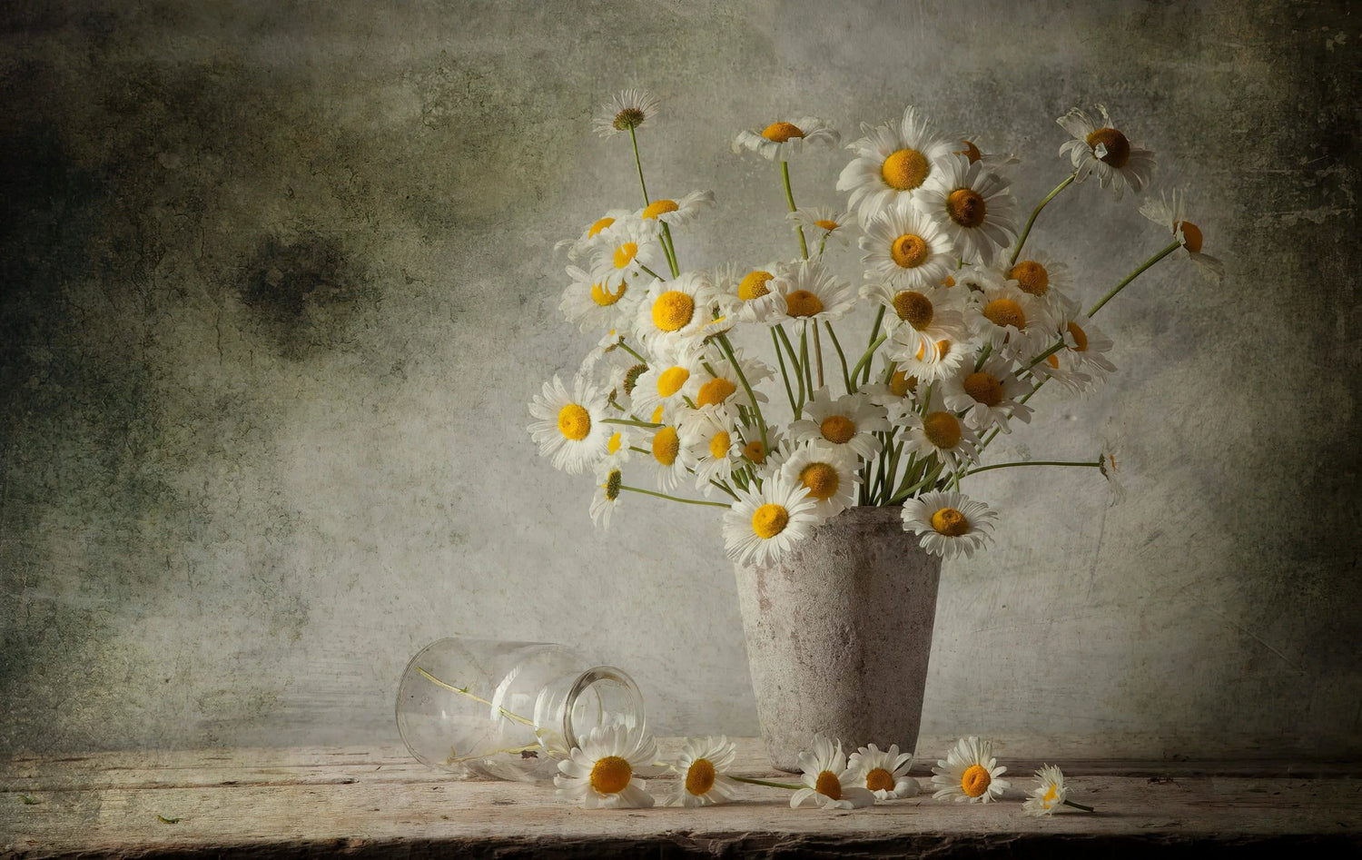 Still Life Oil Painting - Daisies, Vase and Glass Jar - Oil Painting Haven