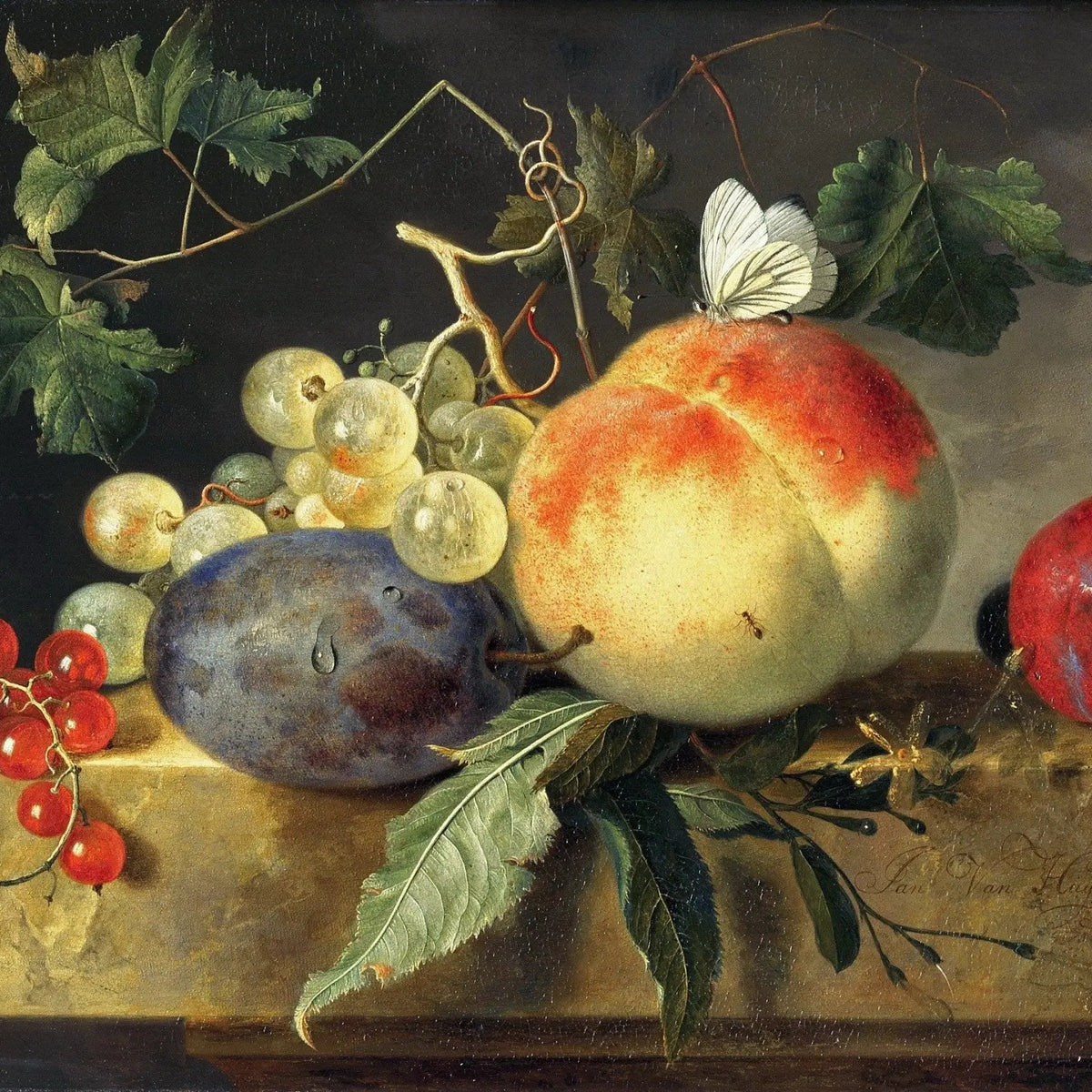 Still Life Oil Painting - Fruits, Butterfly and Leaves - Oil Painting Haven