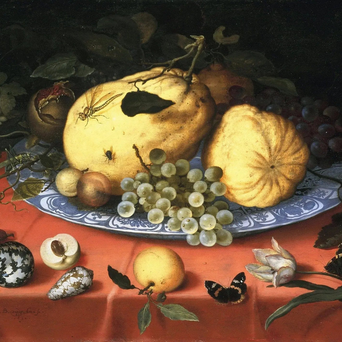 Still Life Oil Painting - Fruits, Shells and Butterfly - Oil Painting Haven