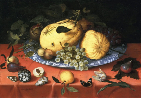Still Life Oil Painting - Fruits, Shells and Butterfly - Oil Painting Haven