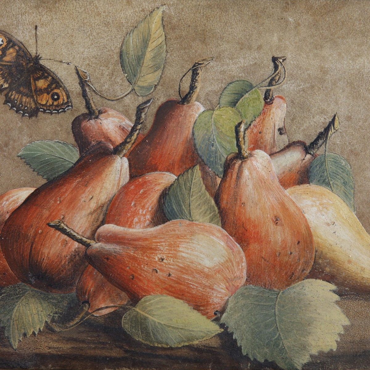 Still Life Oil Painting - Pears with Butterfly - Oil Painting Haven