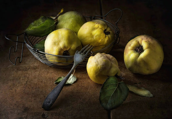 Still Life Oil Painting - Quinces and Vintage Fork - Oil Painting Haven