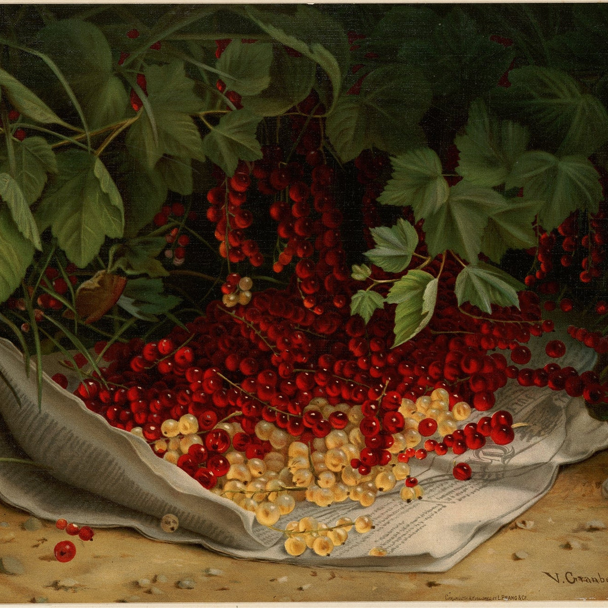Still Life Oil Painting - Red and White Currants - Oil Painting Haven