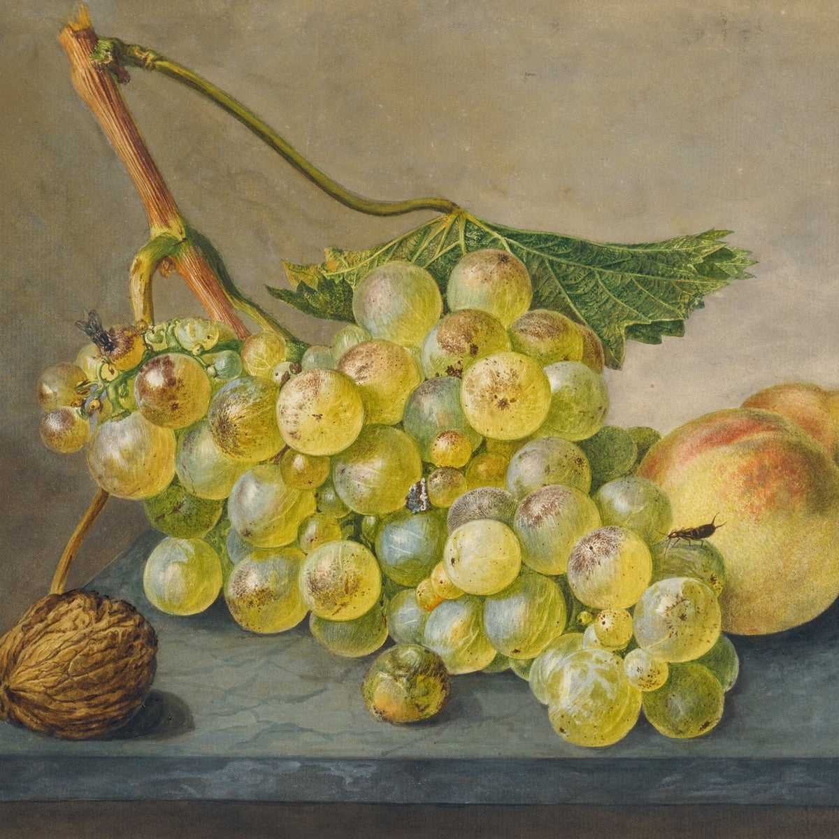 Still Life Oil Painting - Roses, Strawberries and Peaches - Oil Painting Haven