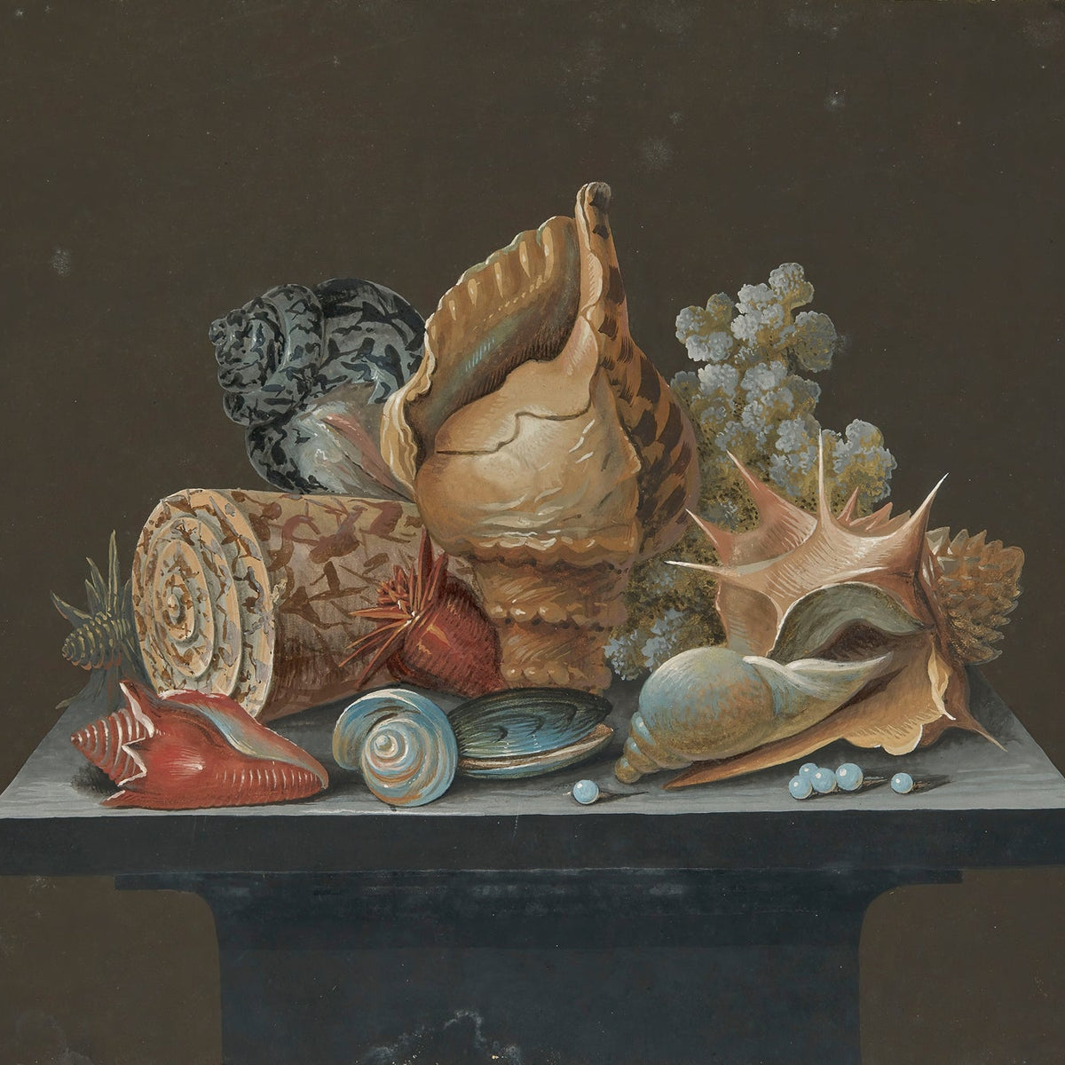 Still Life Oil Painting - Seashells and Coral - Oil Painting Haven