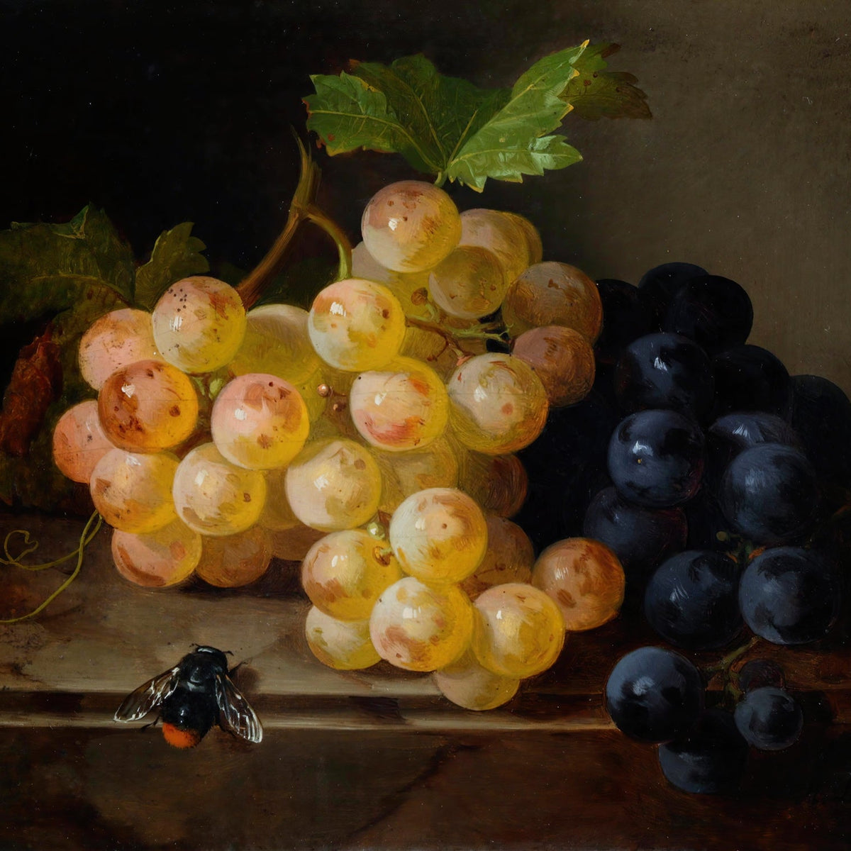 Still Life Oil Painting - White and Black Grapes - Oil Painting Haven