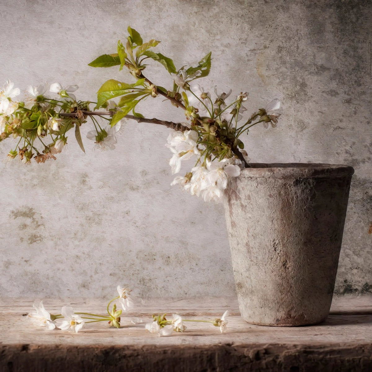 Still Life Oil Painting - White Blossoms in Stone Vase - Oil Painting Haven