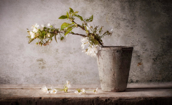 Still Life Oil Painting - White Blossoms in Stone Vase - Oil Painting Haven